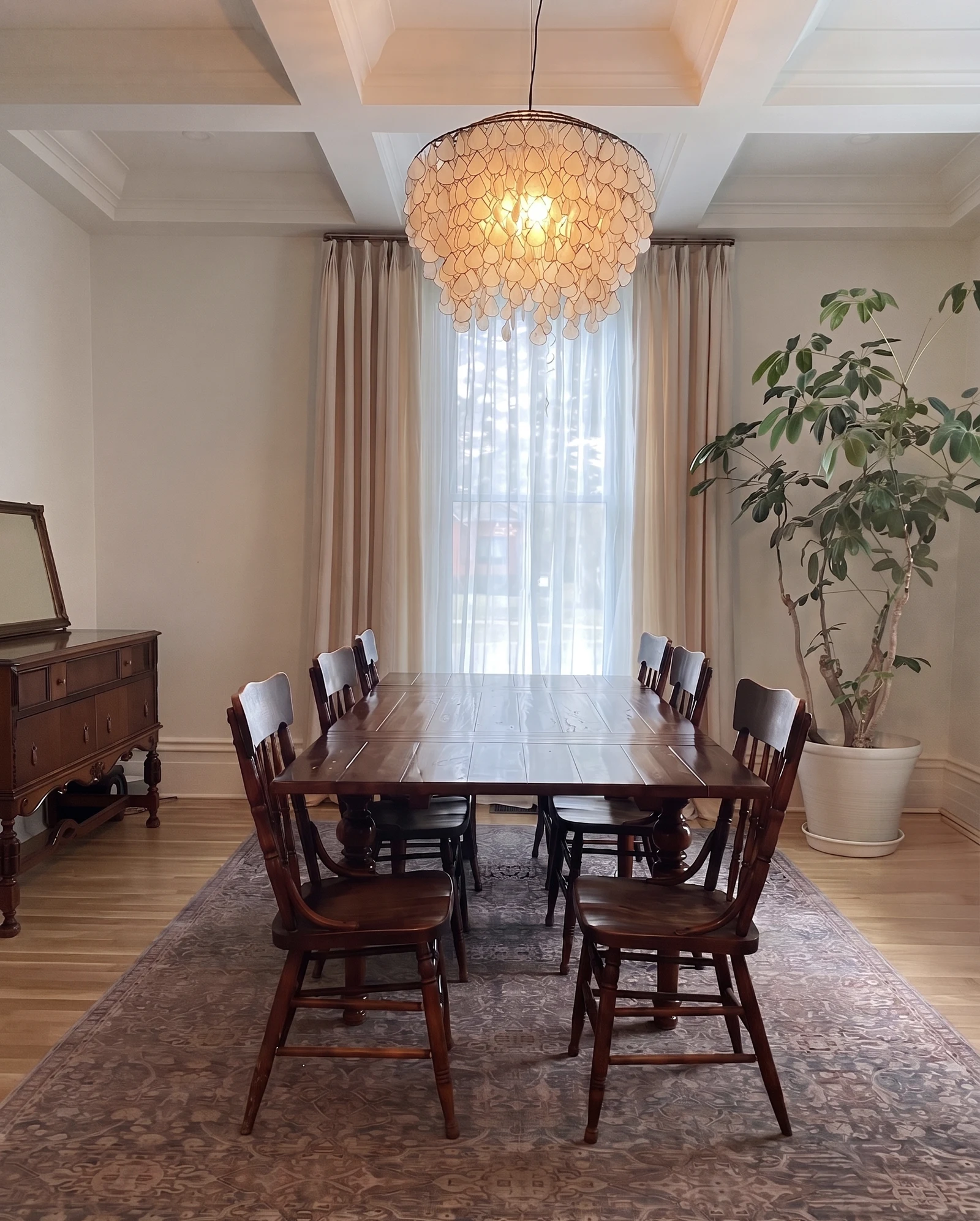 Dining room with wood table, vintage chairs, chandelier, drapery, rug, and potted tree